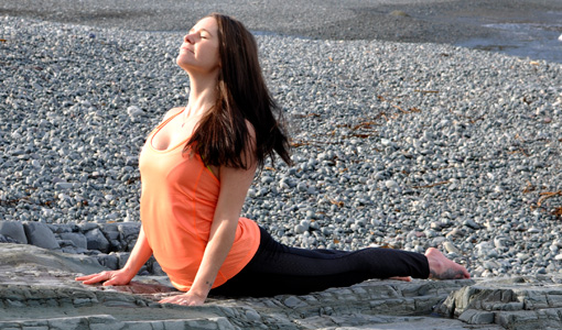 yoga-events-retreats-worldwide-organized-from-newfoundland-cobra-pose